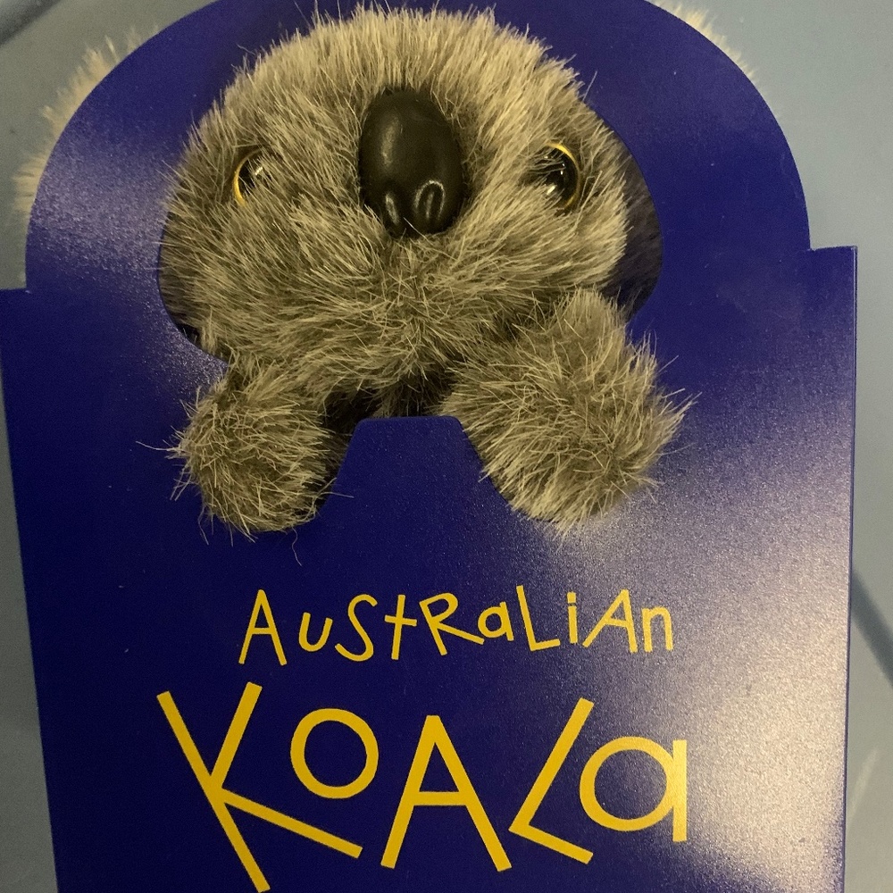 Australian | Koala
